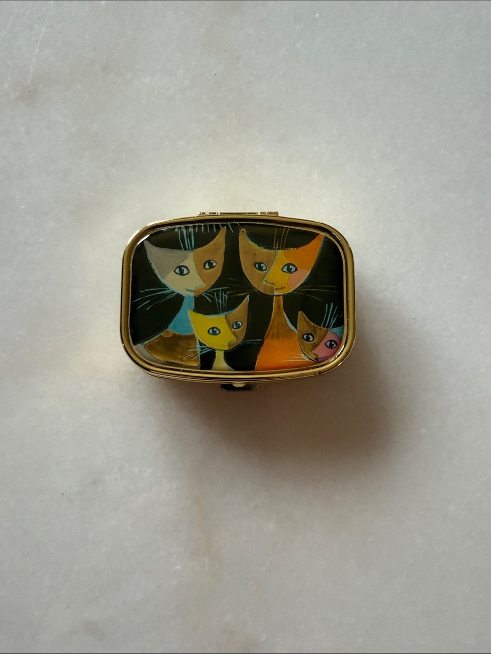 Cat Portrait Pill Box - Multicolor Cats Design